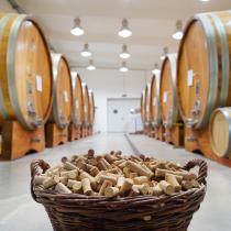 Escapadă de toamnă în Dealu Mare