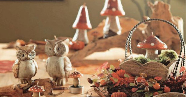 Adu culorile toamnei la tine acasa