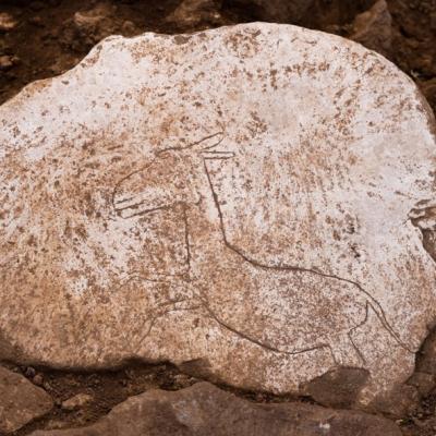 Cele mai importante descoperiri arheologice din Turcia din anul 2024