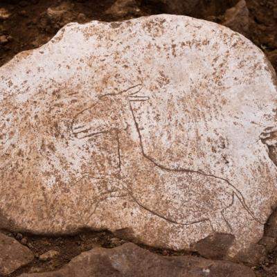 Cele mai importante descoperiri arheologice din Turcia din anul 2024