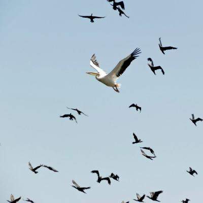 Ce haine iei cu tine dacă îți faci vacanța în Delta Dunării