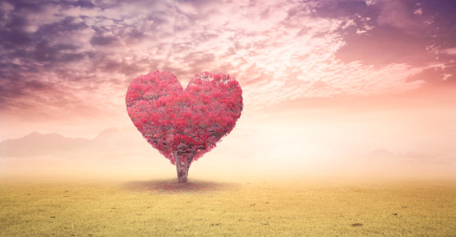 Flexibilitate și Actiune, cuvintele cheie pentru săptămâna  28 IANUARIE - 3 FEBRUARIE 2019