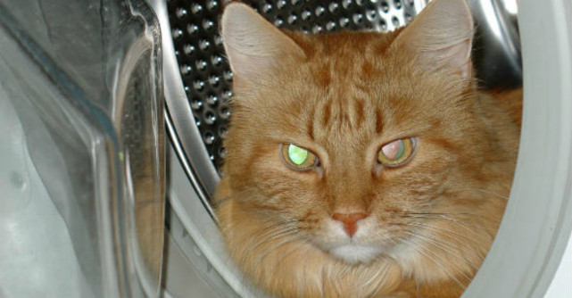 Cum spalau gospodinele rufe in urma cu 100 de ani. O scurta istorie a hainelor curate