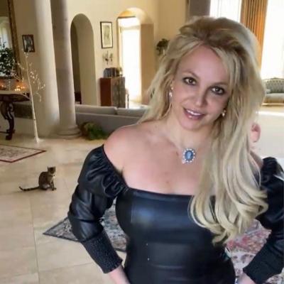 Britney Spears este însărcinată, la doar câteva luni după ce a scăpat de sub tutelă