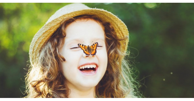 Povestea fluturelui, o pilda despre viata