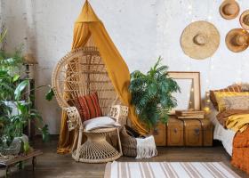 Plante de apartament care te vor aduce mai aproape de natura