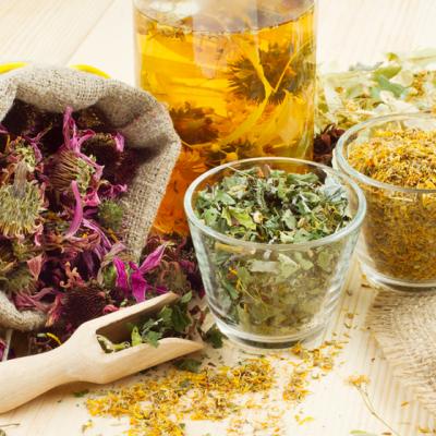 Ghidul complet al plantelor medicinale si aromatice 