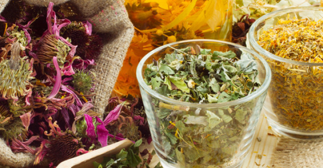 Ghidul complet al plantelor medicinale si aromatice 