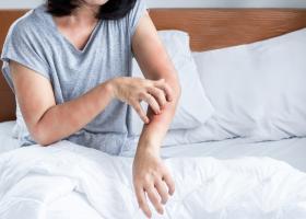 Ce sunt acarienii și cum ne afectează sănătatea? Tot ce trebuie să știi