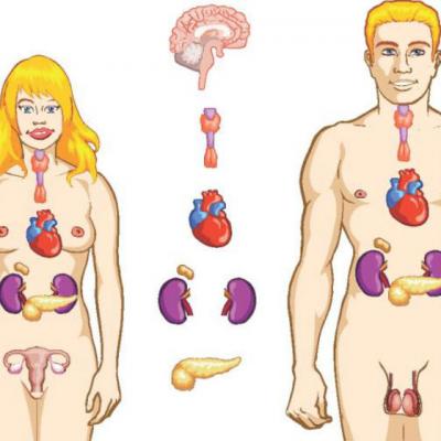 Ai grija de TIROIDA ta!