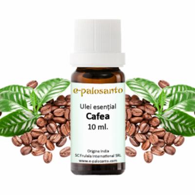 Alege uleiuri esentiale organice. Ulei esential aromat si parfumat pentru toată lumea!