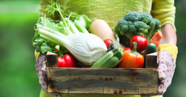 Legume și fructe de toamnă: Beneficii pentru trup și suflet