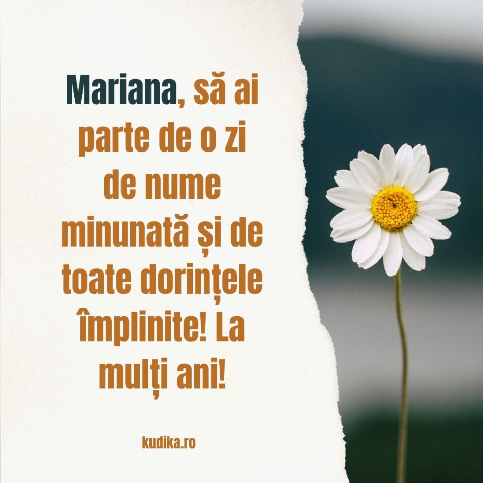 Adormirea Maicii Domnului (15 august) și Sf. Maria Mică (8 august). Când spunem La mulți ani? Diferențe și semnificații