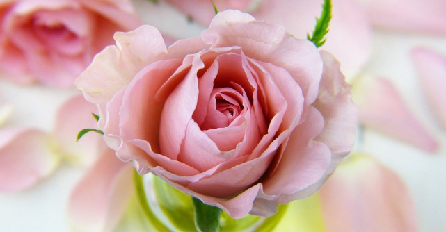 Complice.ro: Ce experiențe romantice preferă românii în pandemie