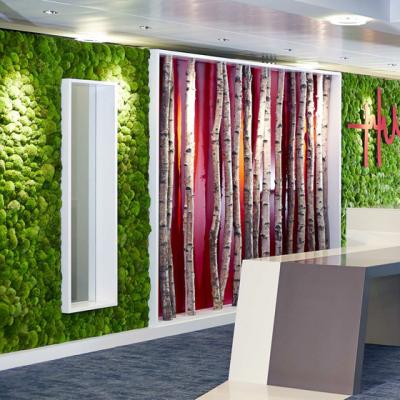 Cum sa folosesti in interiorul locuintei tale muschi natural