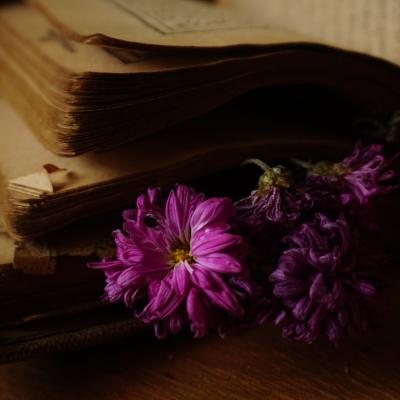 30+ Poezii și versuri de dragoste pe care merită să le citești