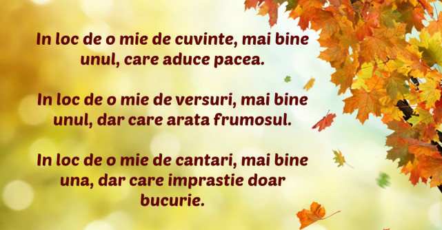  Cuvinte minunate care te ajuta sa intelegi mai bine viata