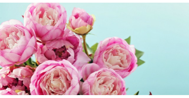 Leacul nestiut, dar extrem de eficient. De ce e bine sa bei ceai din petale de bujori