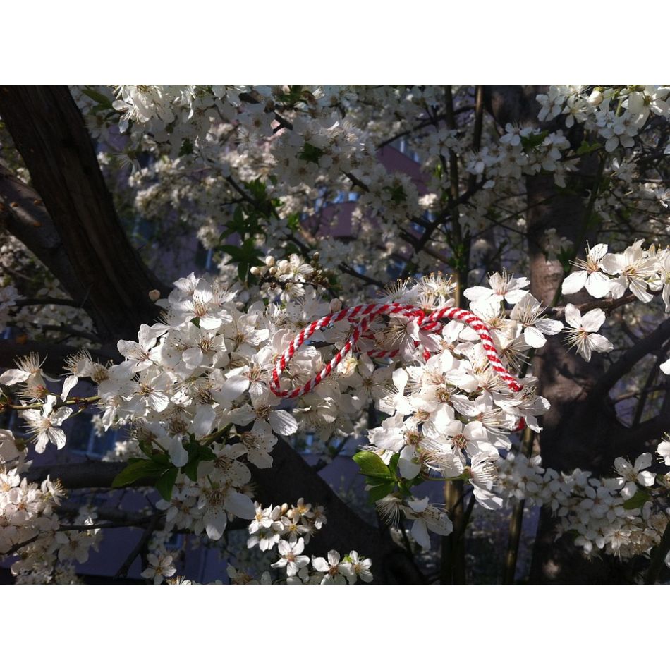 Un mărtișor pentru cineva drag reprezintă o șansă la vindecare pentru un copil grav bolnav