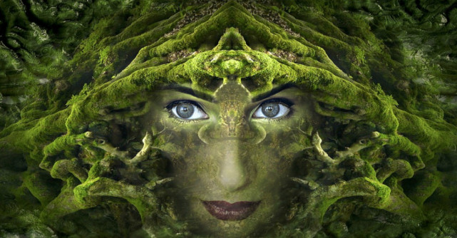 STRĂVECHI și CREȘTERE, cuvintele cheie pentru săptămâna  11 -17 FEBRUARIE 2019