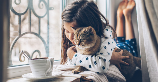 4 obiceiuri sănătoase pentru a-ți face pisica fericită