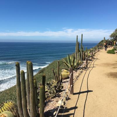 O zi de sâmbătă în sudul Californiei