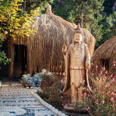 Ayurveda pentru fiecare zi