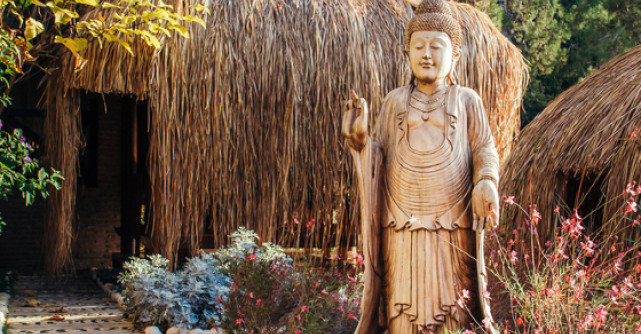 Ayurveda pentru fiecare zi