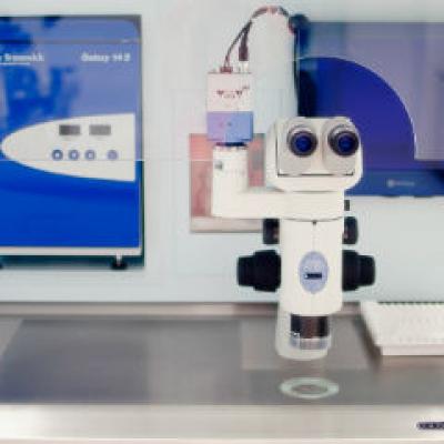 Specialistii vorbesc - Despre fertilizarea in vitro cu Prof. Dr. Heinz Strohmer