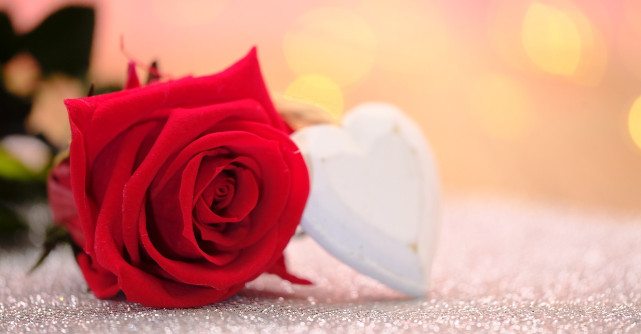 7 februarie - Ziua Trandafirilor! Ce semnificație are și cum o puteți sărbători?