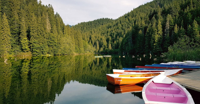 Bărci ponton: Confort și distracție pe apă