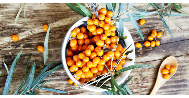 5 BOLI pe care le poti trata cu CATINA. Efectele nebanuite pe care le are pentru sanatate