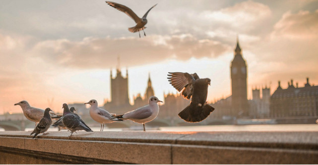 Destinatii de Oscar: cand sa calatoresti in cele mai premiate destinatii din filme