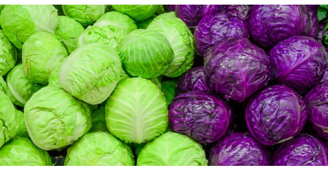 Varza alba vs. varza rosie. Care aduce mai multe beneficii sanatatii?