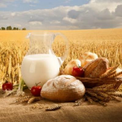 Retete dietetice pentru masina de facut paine