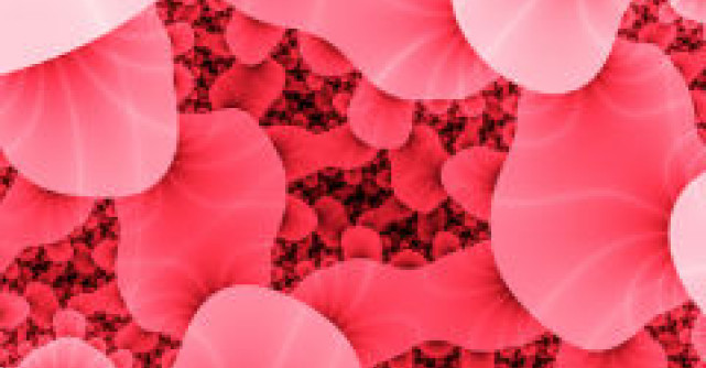 OMS: 12 tari europene afectate de E.coli