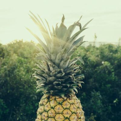 Ananasul: Beneficii si proprietati