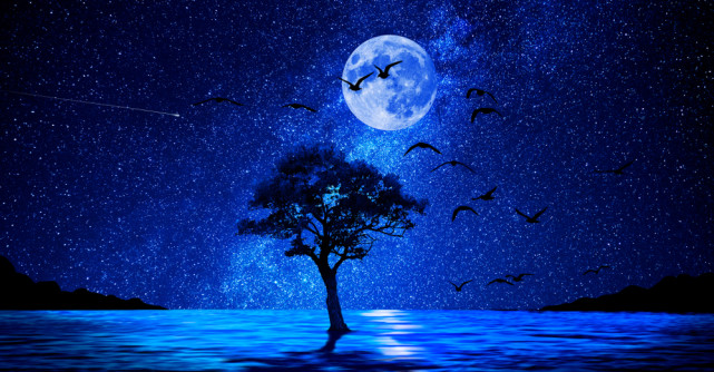 Feng Shui, drumul catre o viata linistita