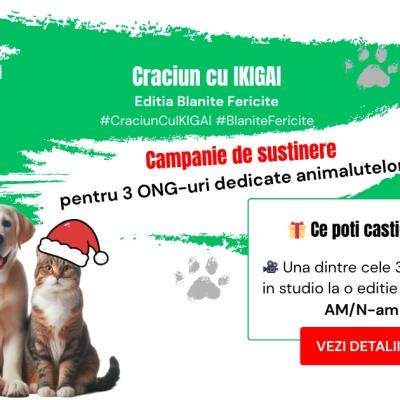 Crăciun cu IKIGAI - Ediția Blănițe Fericite. Campanie de responsabilitate socială dedicată susținerii ONG-urilor pentru animale