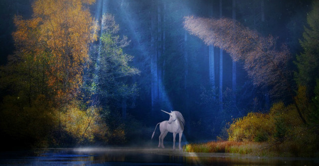 Iubitul unicorn, specie pe cale de disparitie