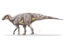 Descoperire spectaculoasă în România! O nouă specie de dinozaur a trăit acum 70 de milioane de ani în Țara Hațegului