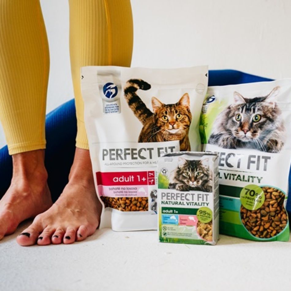 Pet Yoga: Beneficii pentru sănătatea ta și a animalului de companie