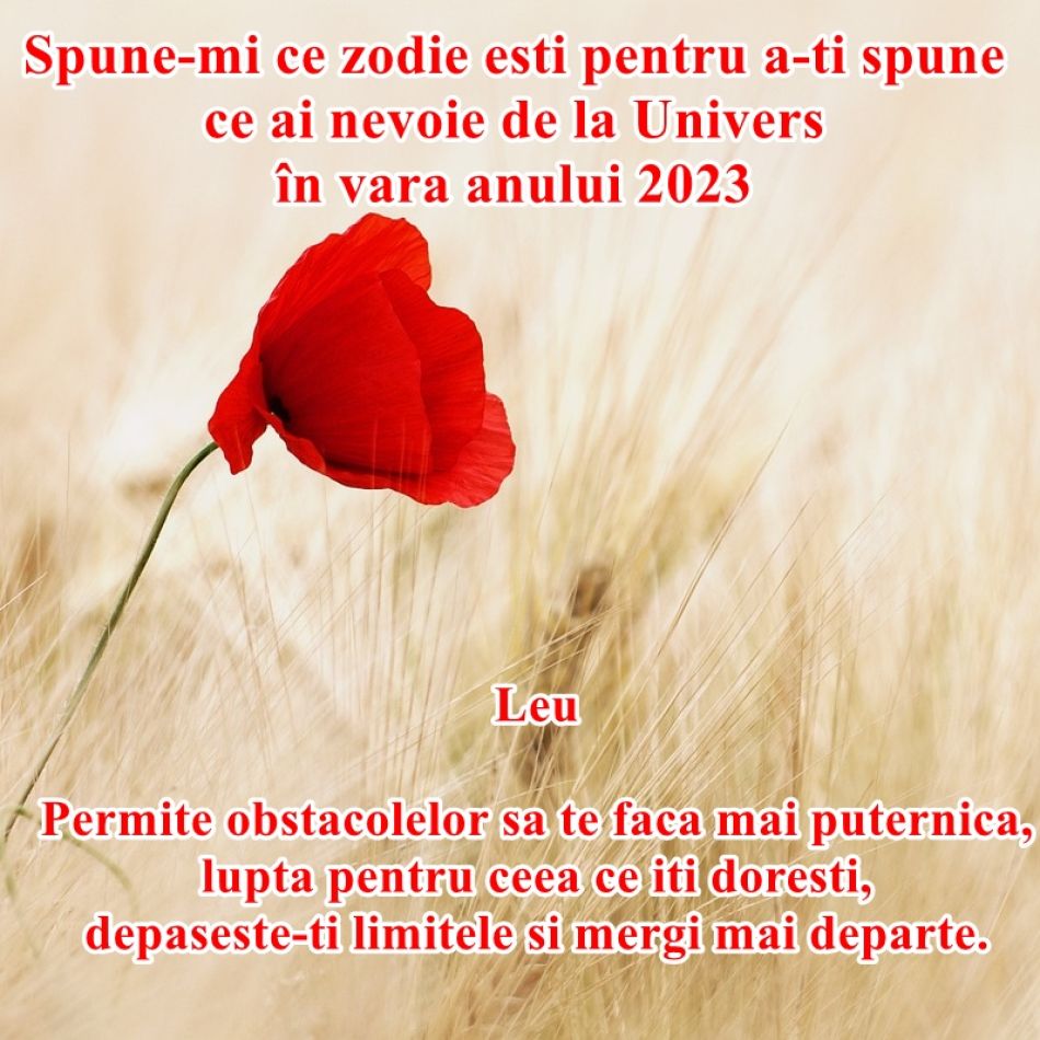 Spune-mi ce zodie ești pentru a îți spune de ce ai nevoie de la Univers în vara anului 2023