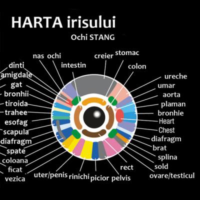 Iridologia - HARTA sanatatii din ochii tai