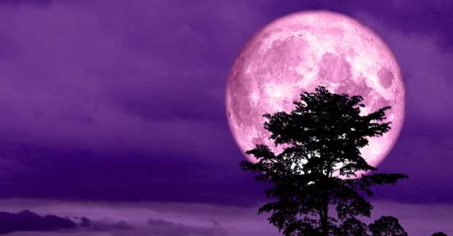 Luna Plină de pe 19 februarie. 3 Zodii vor avea parte de surprize minunate