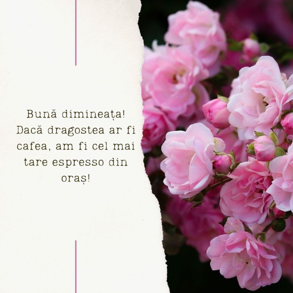 O zi frumoasă: Spune-i bună dimineața la cafea cu urări  DE BUNĂ DIMINEAȚA