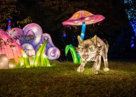 Garden of Lights s-a deschis vineri la București: Lumea magică a poveștilor - Beauty and the Beast