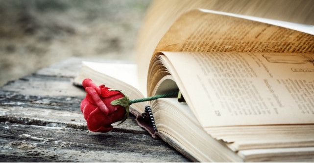 'Dincolo de iarnă' de Isabel Allende - o poveste despre solidaritate, iertare și puterea vindecătoare a dragostei