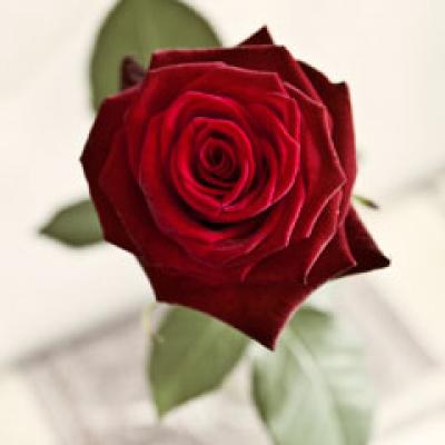 Cum il faci sa te iubeasca mai mult...