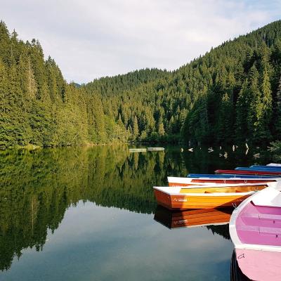 Bărci ponton: Confort și distracție pe apă